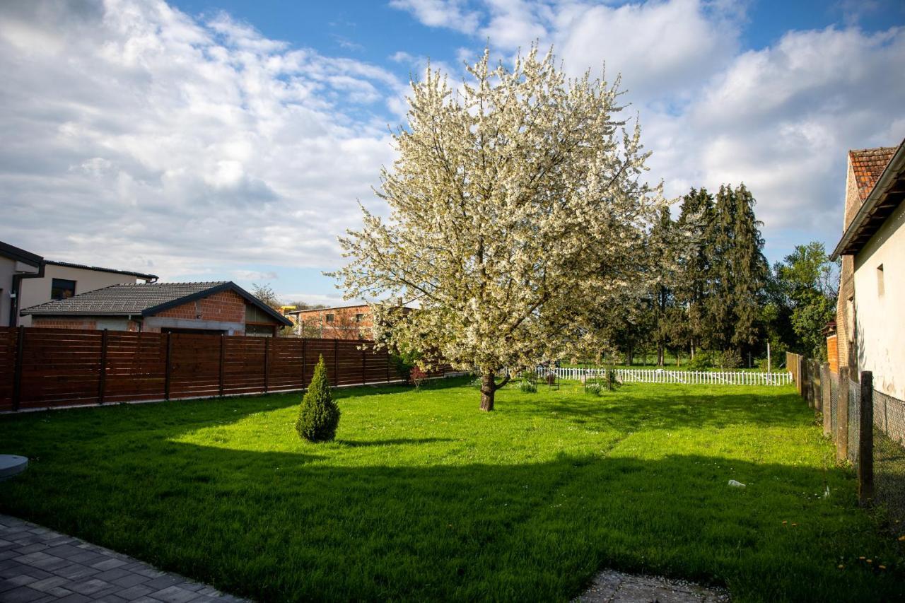 Apartman Ena Бьеловар Экстерьер фото